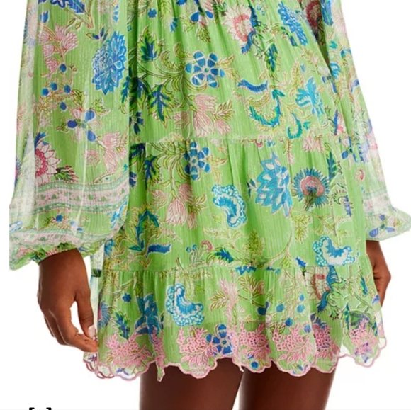 HEMANT AND NANDITA Rhea Long Sleeve Mini Dress Green - Picture 4 of 8